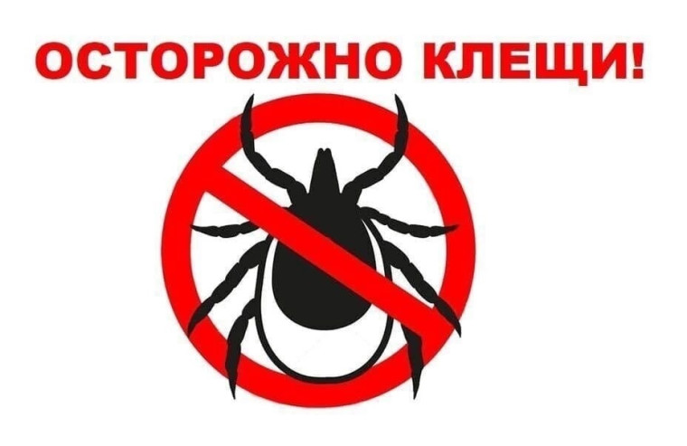 Осторожно! Клещи!.